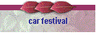 car festival